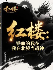 红楼：铁血的我在北境当战神