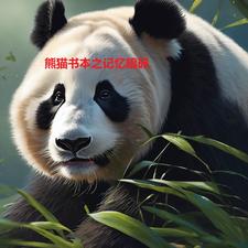 熊猫书本之记忆暗码