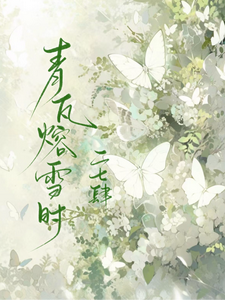 青瓦熔雪时