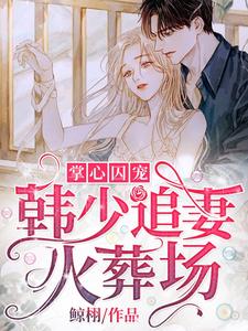 掌心囚宠：韩少追妻火葬场