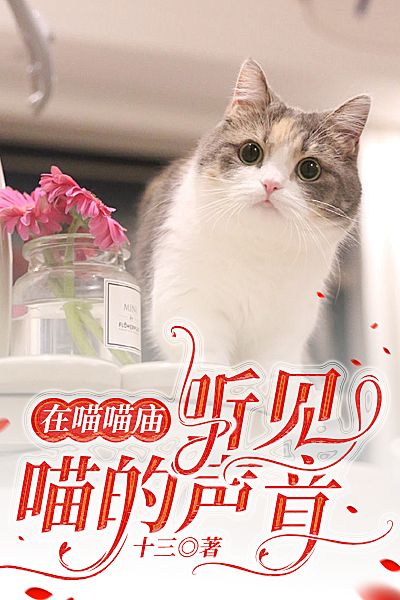 在喵喵庙听见喵的声音