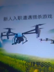 新人入职遭遇猎杀游戏