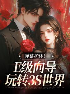 弹幕护体！E级向导玩转3S世界