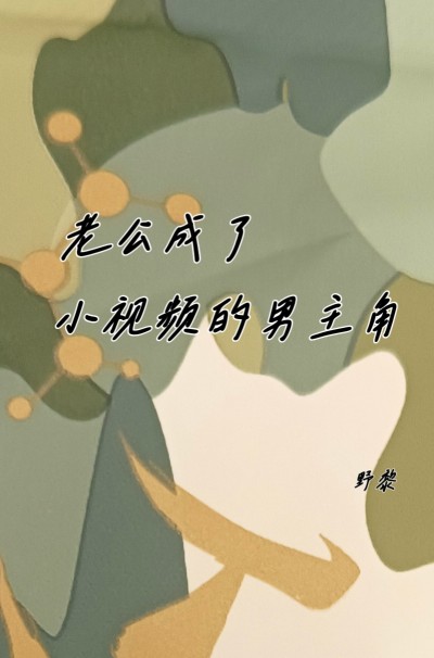 老公成了小视频的男主角