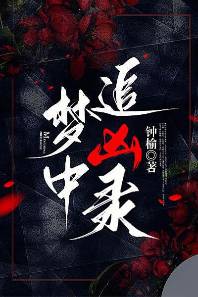 梦中追凶录