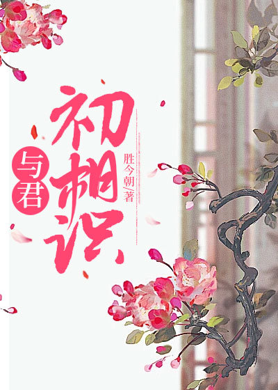 与君初相识