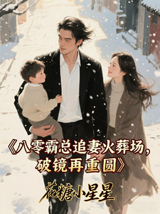 八零霸总追妻火葬场，破镜再重圆