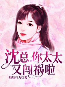 沈总，你太太又闯祸啦
