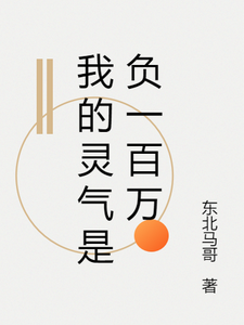 我的灵气是负一百万
