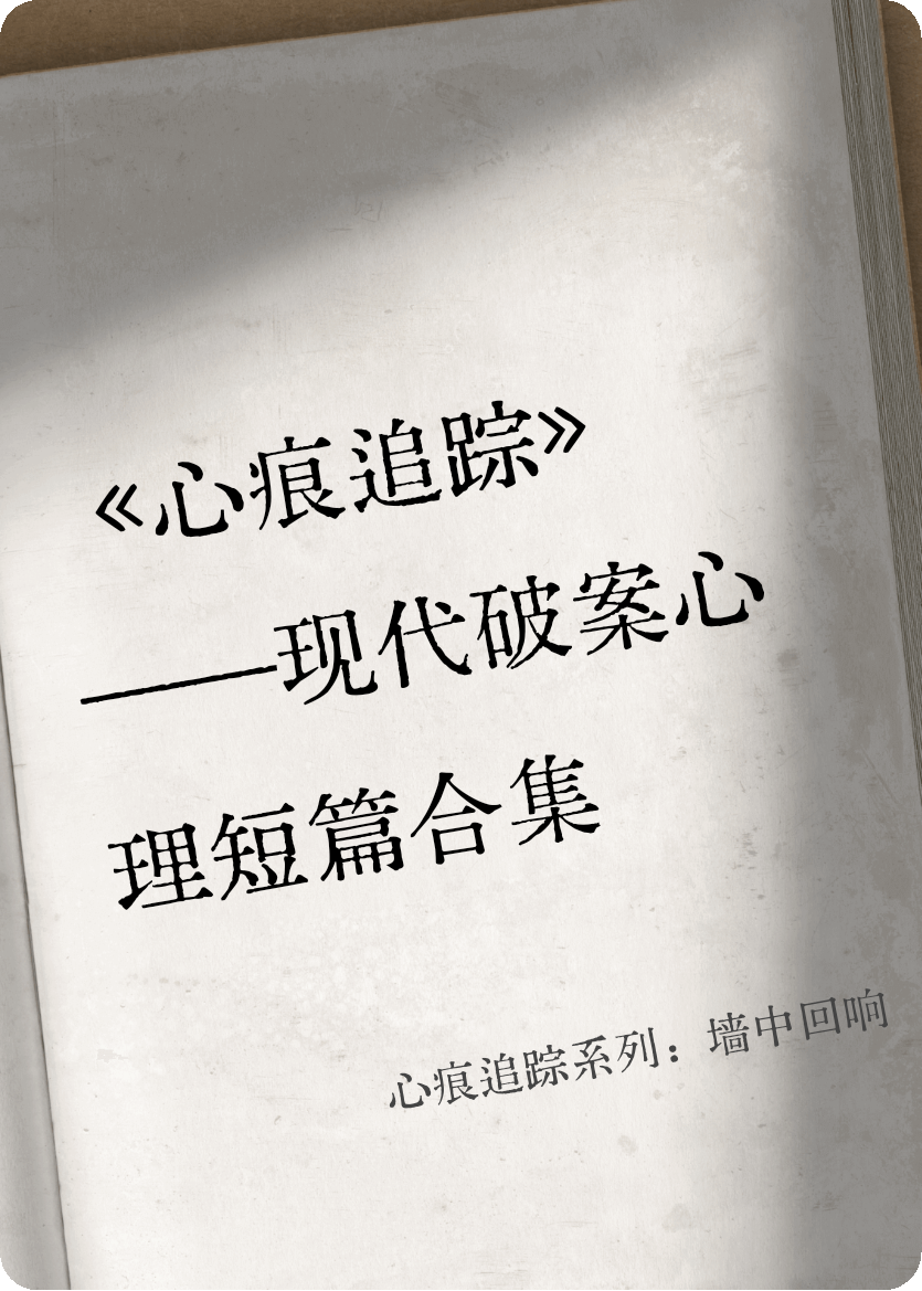 心痕追踪系列：墙中回响