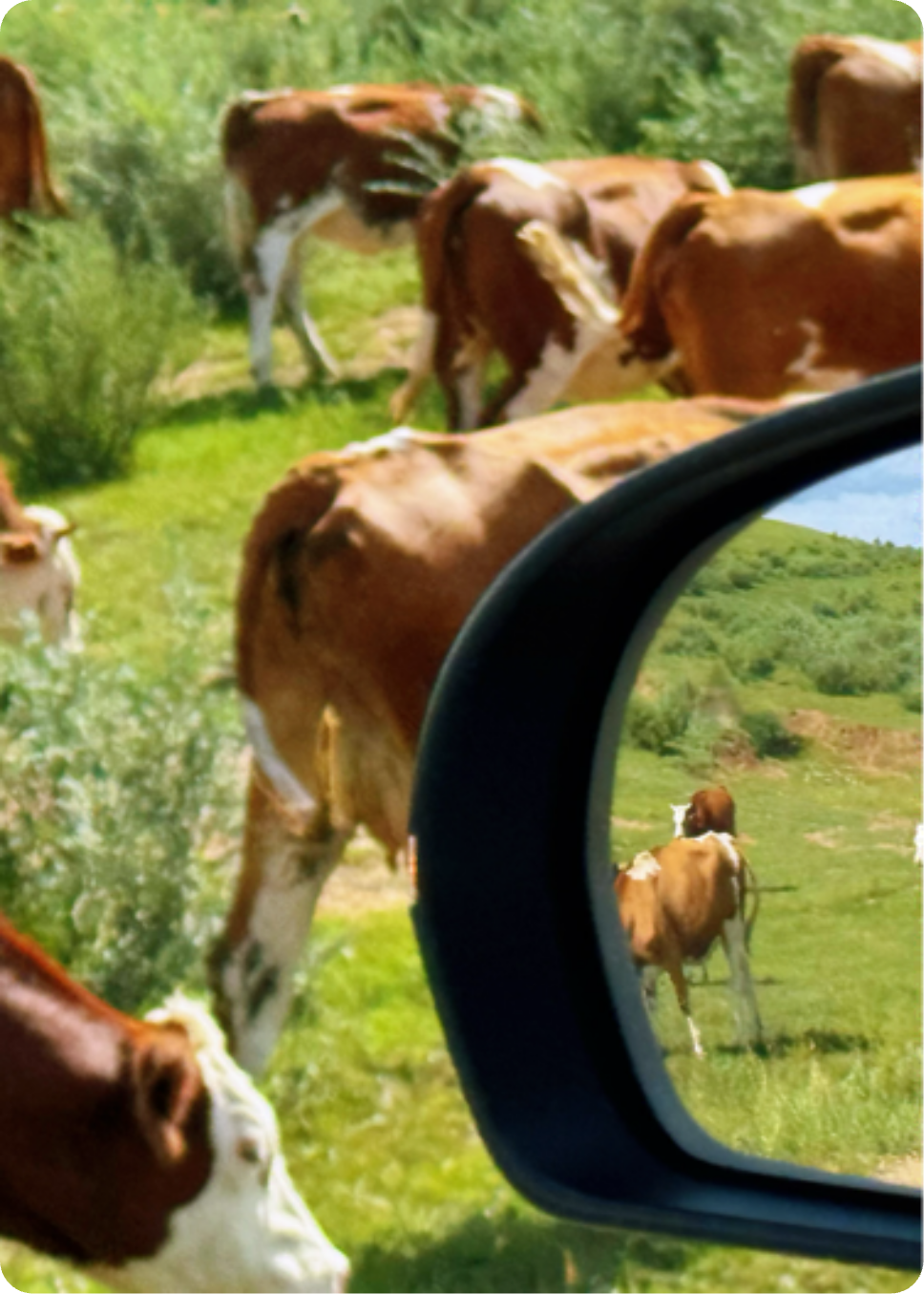 风雨人生路，母爱铸辉煌
