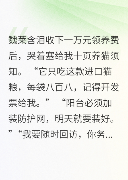 猫咪送养人网暴我，她悔疯了