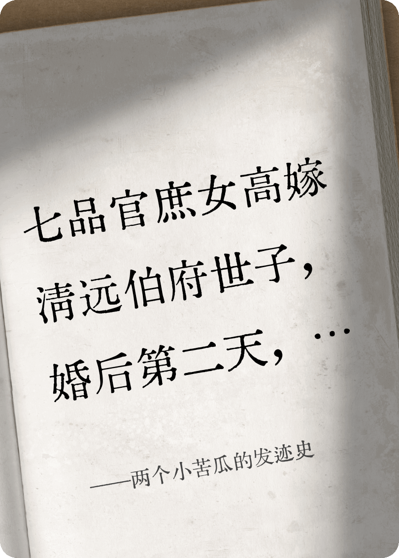 两个小苦瓜的发迹史