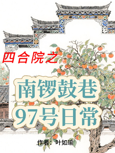 四合院之南锣鼓巷97号日常