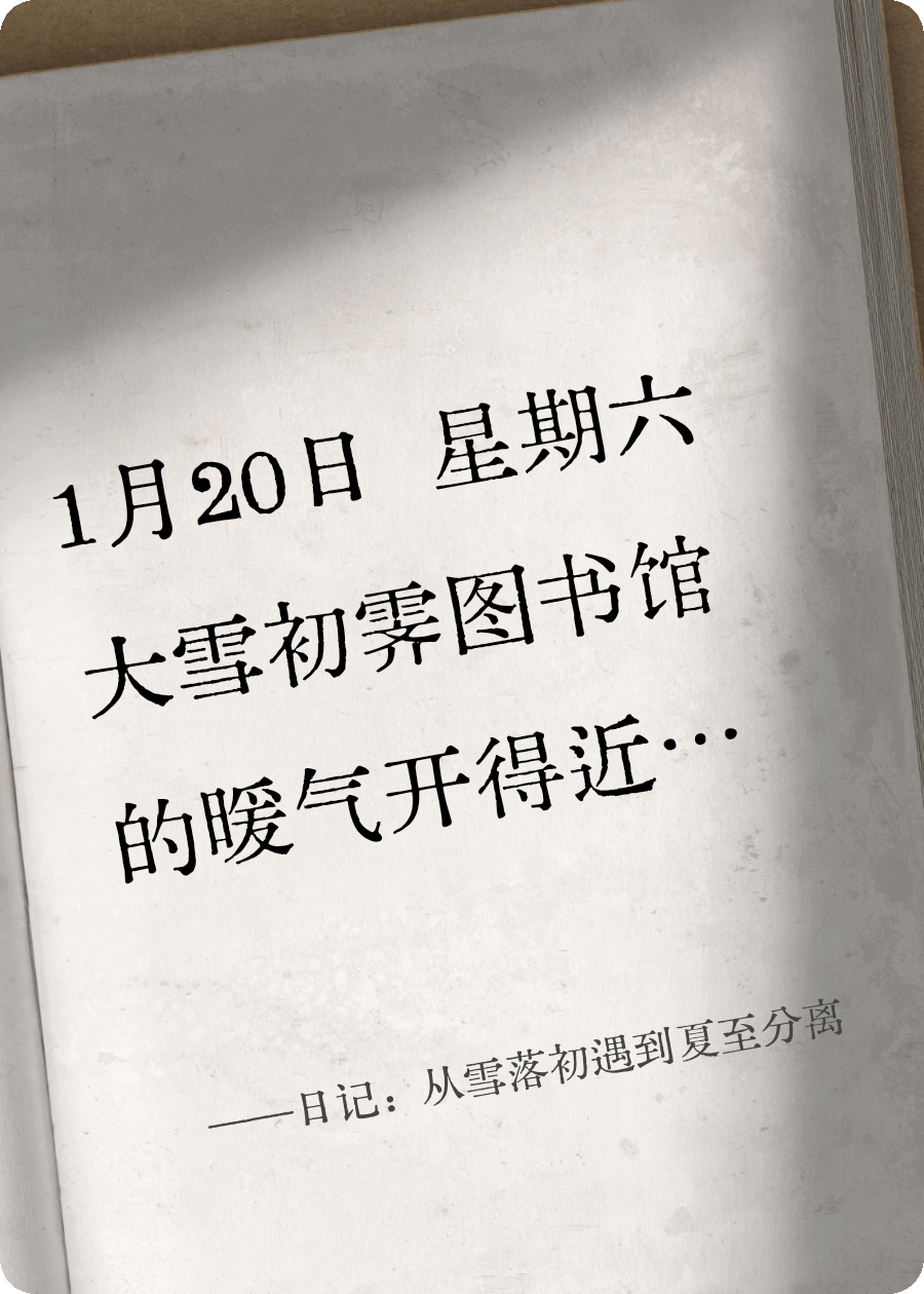 日记：从雪落初遇到夏至分离