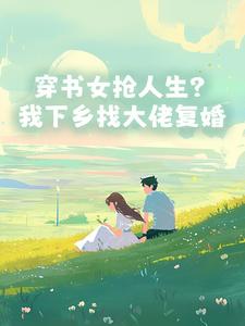 穿书女抢人生？我下乡找大佬复婚