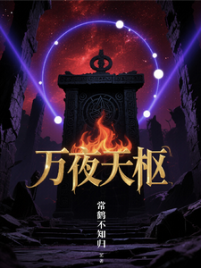 万夜天枢