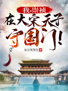 我，崇祯，在大宋天子守国门！