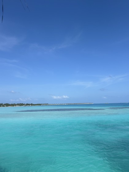 小奶狗拿老婆孕检单向我炫耀