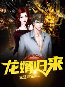 龙婿归来