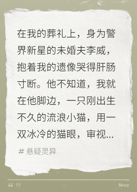 猫眼追凶