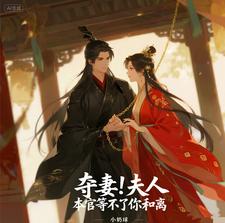 夺妻！夫人，本官等不了你和离