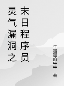 灵气漏洞之末日程序员