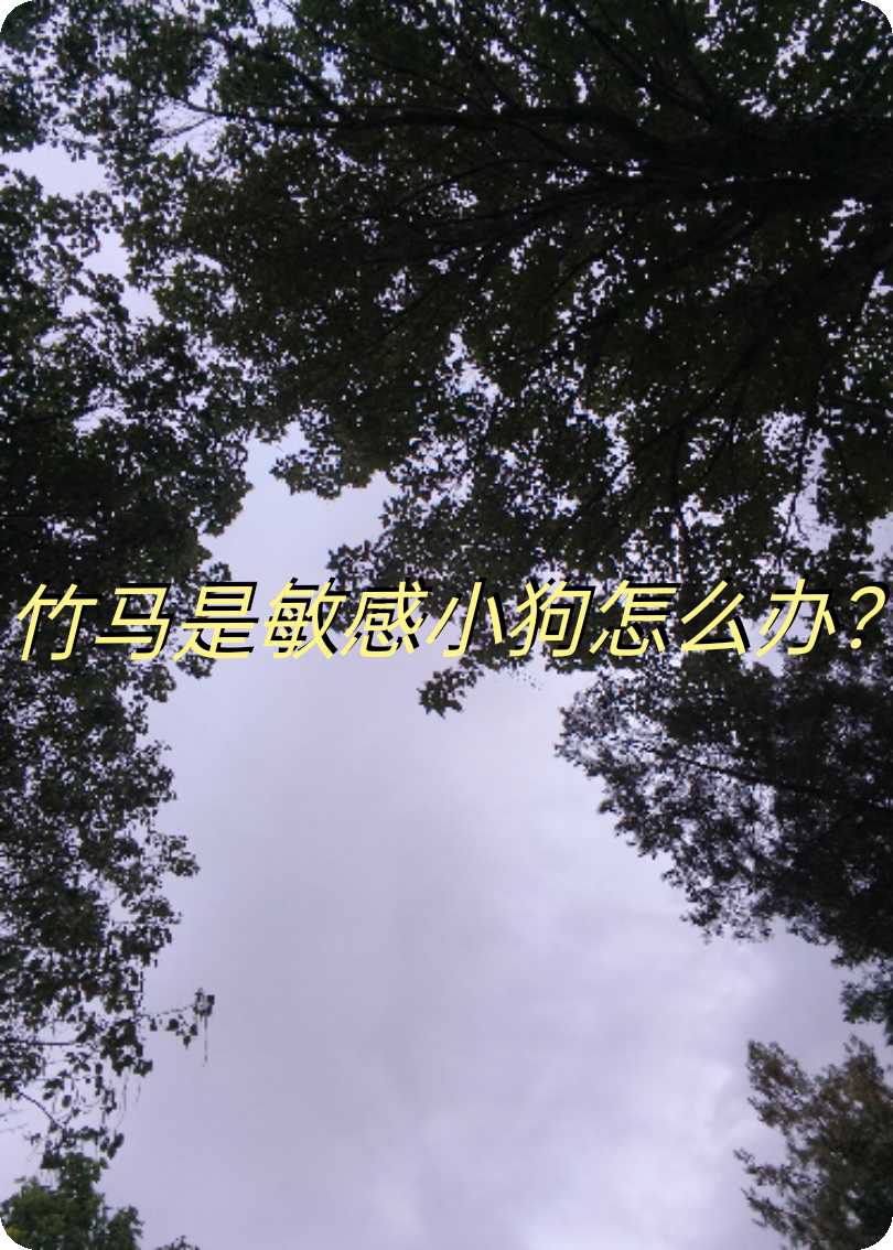 天降竹马是敏感小狗怎么办？