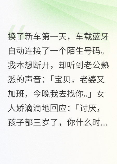 车载蓝牙曝光老公三年秘密我果断离婚