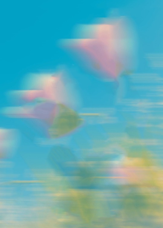 公婆坚信蝌蚪能治百病