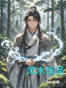 风水医圣