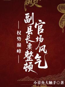 权势巅峰：副县长要整顿官场风气