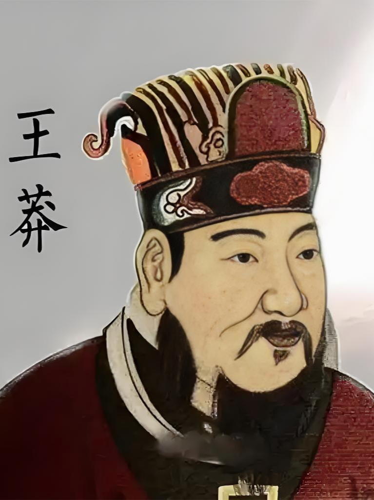 代码王莽