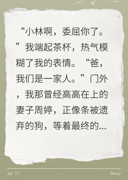 岳父大人，请看一出好戏