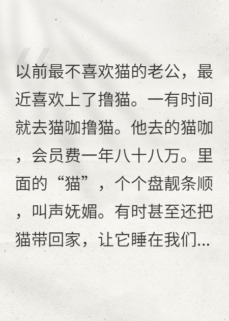 老公最近迷上撸猫，我直接离婚