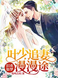 旧欢如梦：叶少追妻漫漫途