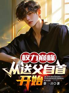 权力巅峰：从送父自首开始