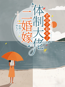 二婚嫁体制大佬，老房子着火了