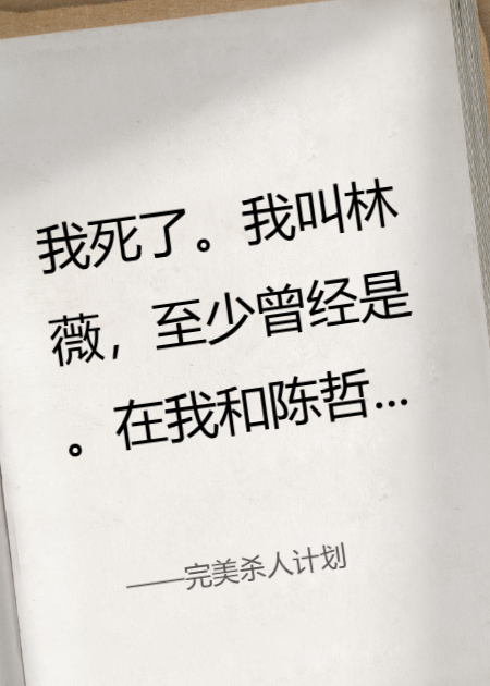 完美杀人计划