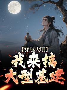 穿越大明：我来搞大型基建