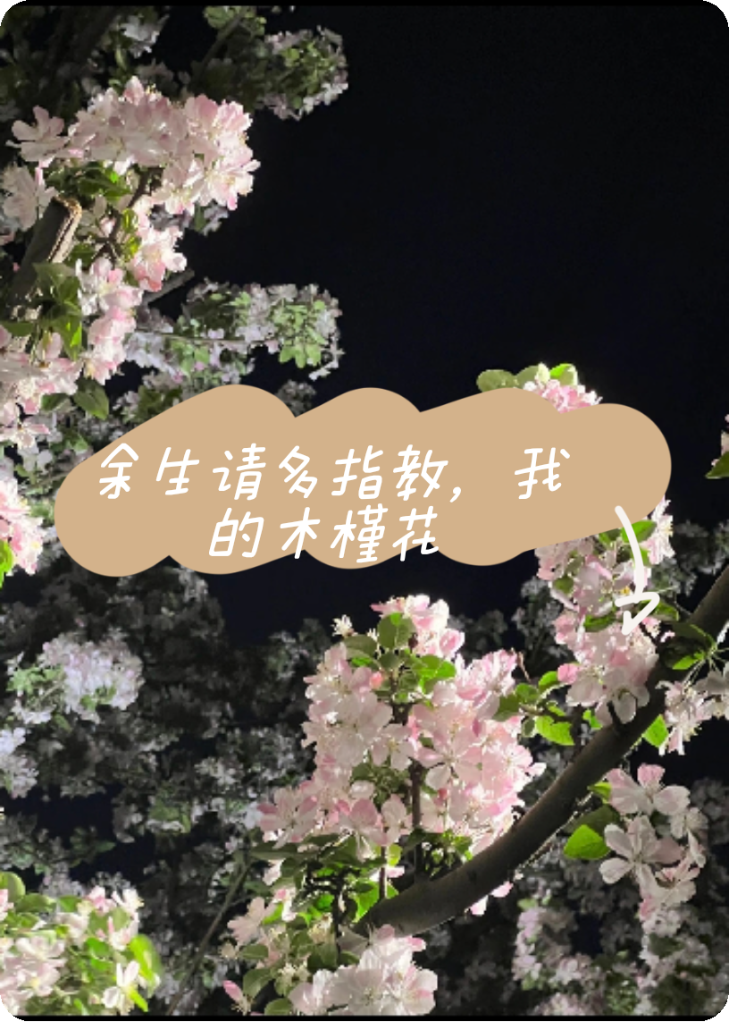 余生请多指教，我的木槿花