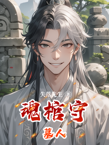 魂棺守墓人