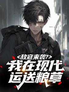 敌寇来袭？我在现代运送粮草