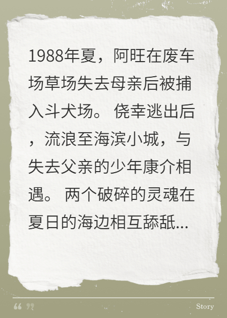 阿旺的夏天