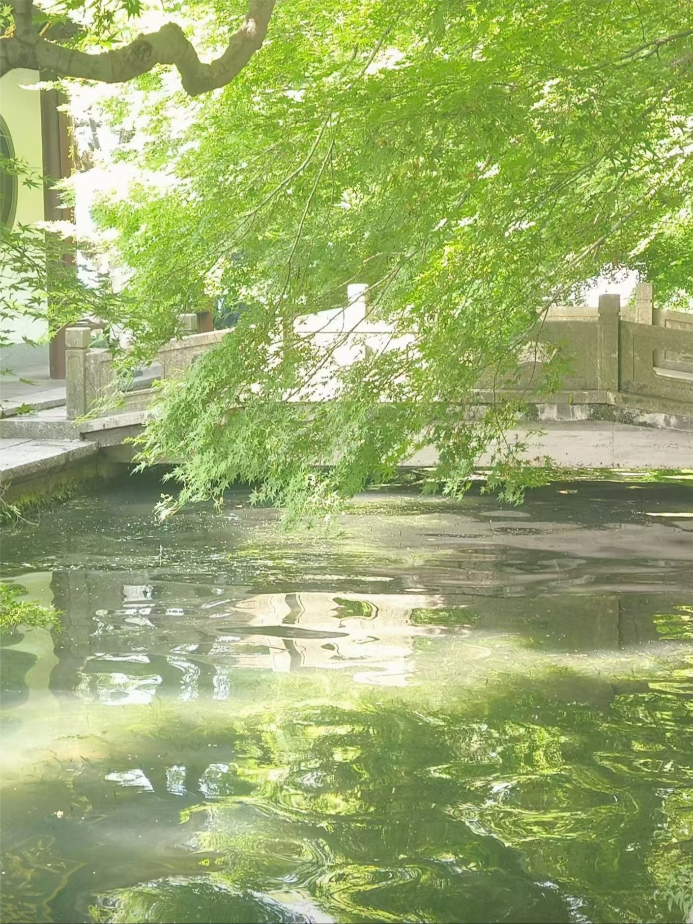 回忆如坟，思念其中葬