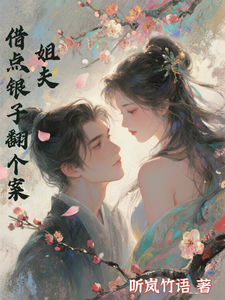 姐夫，借点银子翻个案