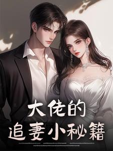 大佬的追妻小秘籍