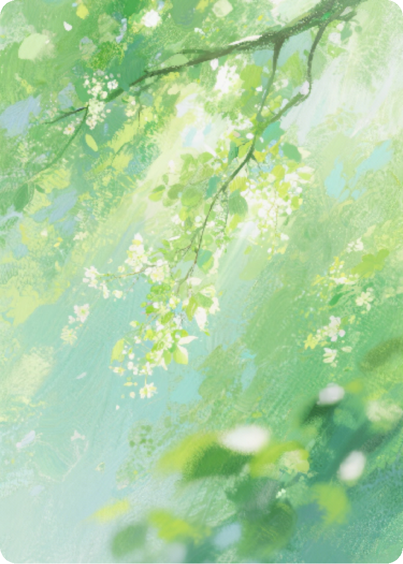 锦书长夏