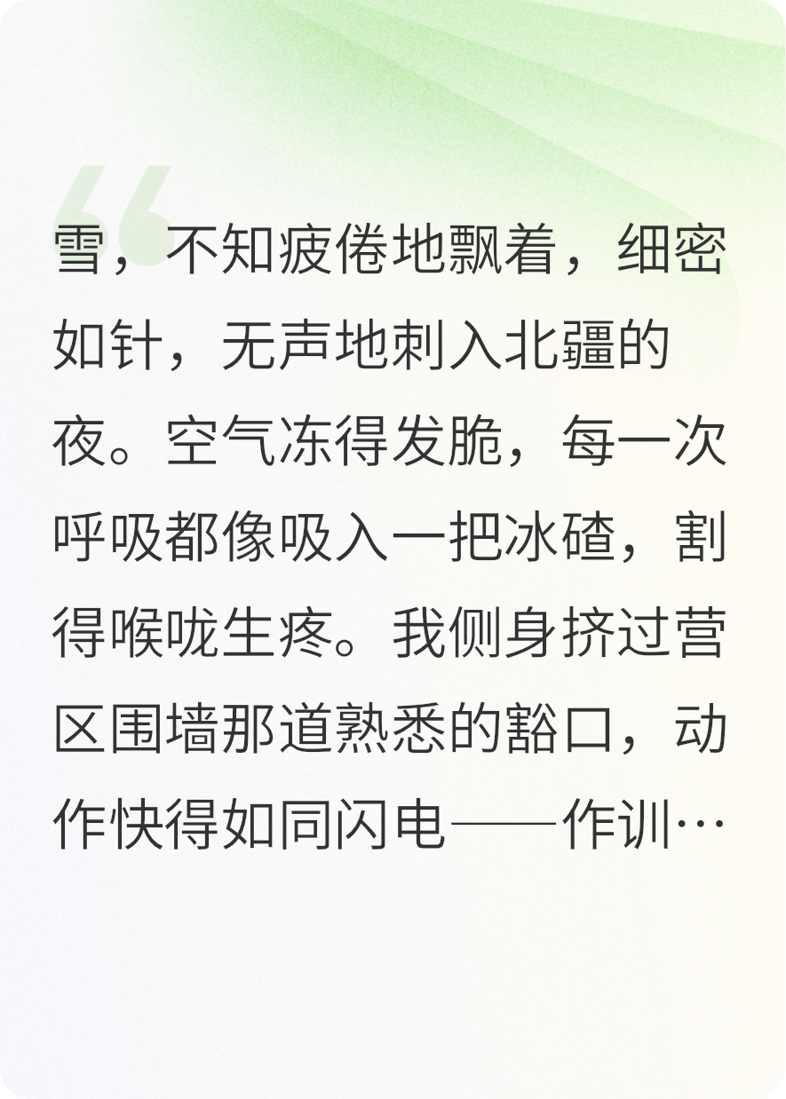 我无言的战友
