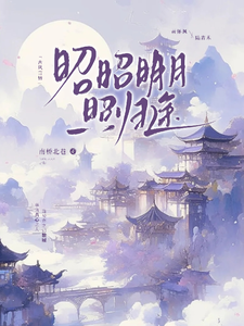 昭昭明月照归途